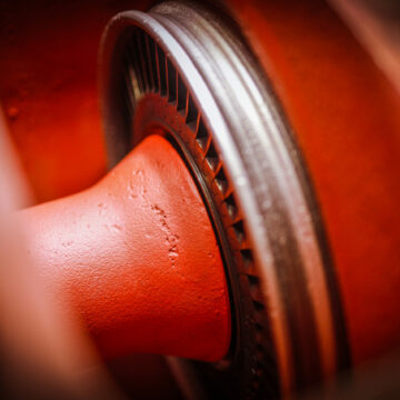 20210205103236_IMG_2507