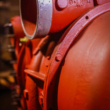 20210205110835_IMG_2529