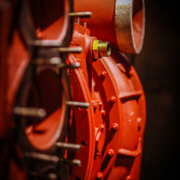 20210205110936_IMG_2535