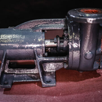 20210305071828_IMG_2937