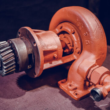 20210329081845_IMG_3025